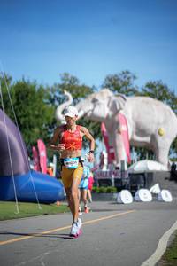 BIB: 
                            <button type="button" onclick="openModal(26543654)" class="btn btn-primary btn-sm float-right btn-popup" data-toggle="modal" data-target=".modal-high-quality">
                        <i class="fas fa-shopping-cart"></i> Add to Cart
                    </button>
                                            <button type="button" onclick="isThisMe(26543654, true)" class="btn btn-success btn-sm float-right btn-popup btn-isme hidden" data-toggle="tooltip" data-placement="bottom" title="นี่คือรูปของคุณใช่ไหม คลิกที่นี่เพื่อเอาเข้าอัลบั้ม">
                        <i class="fas fa-plus"></i> Add to album
                    </button>
                    <button type="button" onclick="isThisMe(26543654, false)" class="btn btn-warning btn-sm float-right btn-popup btn-isnotme hidden">
                        <i class="fas fa-ban"></i> Remove from album
                    </button>